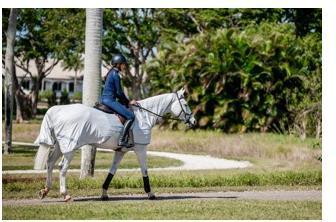 Produktbild Horseware Ausreitdecke Amigo