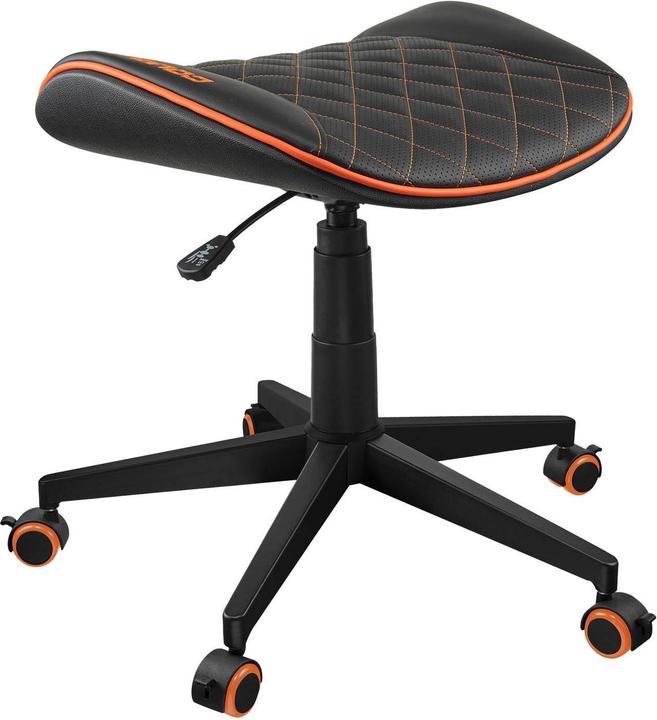 Actual product image Cougar 3MCROORB.0001