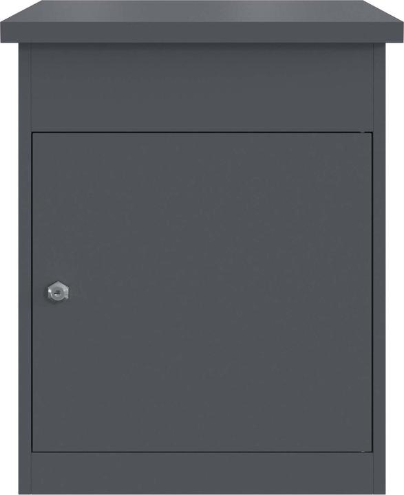 Image du produit vidaXL Paketbox