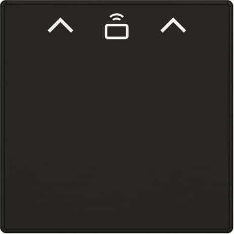 Busch-Jaeger, Programma di commutazione degli accessori, Interruttore scheda Cent.Sch.