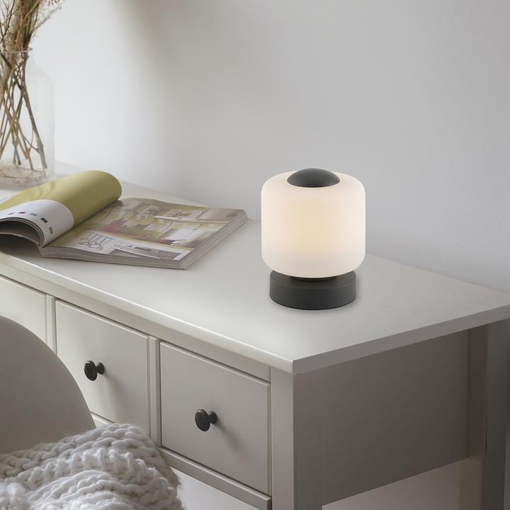 Immagine prodotto Paul Neuhaus Bota (580 lm)