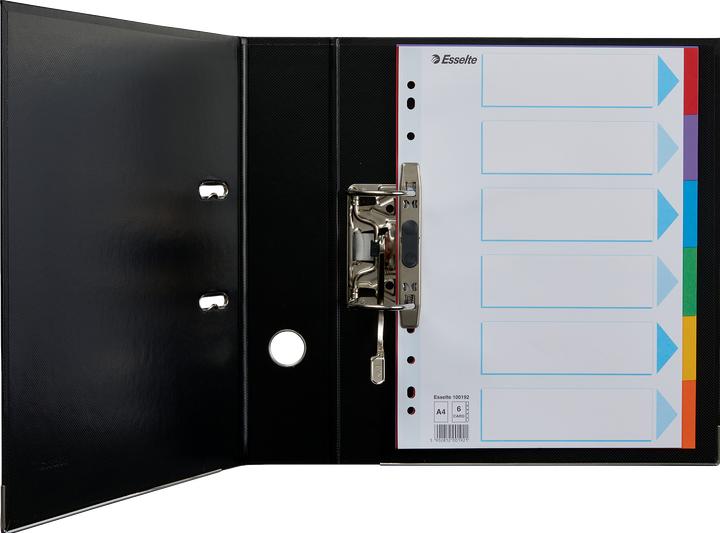 Produktbild Esselte Register Karton