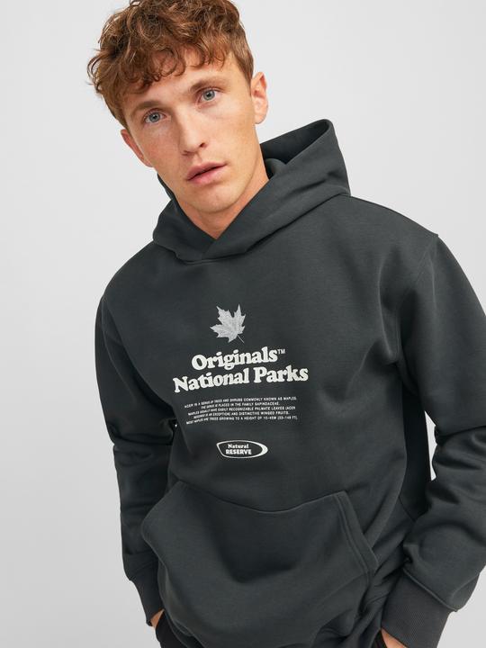 Produktbild Jack & Jones Jorurban Edge Graphic Sweat Hood Ln (XS)