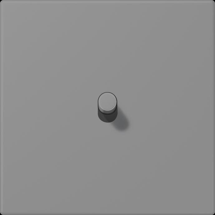Actual product image JUNG Cover with toggle lever