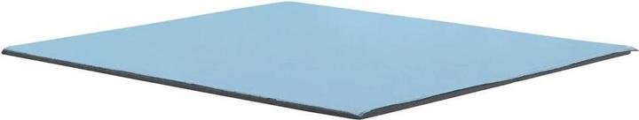 Actual product image Thermal Grizzly TG Minus Pad Pro - 100x100x1,0 mm (1 mm)