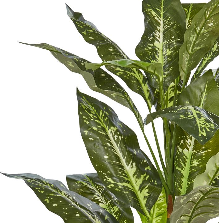 Immagine prodotto Beliani Dieffenbachia (110 cm)