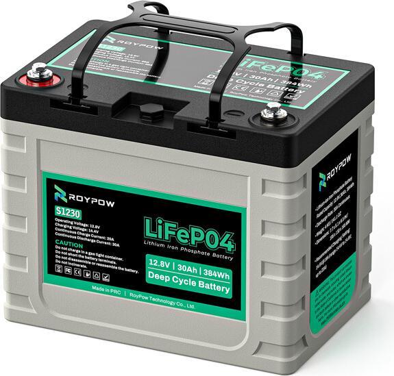 Actual product image RoyPow Lithium-Batterie LifePO4 (12 V, 30 Ah)