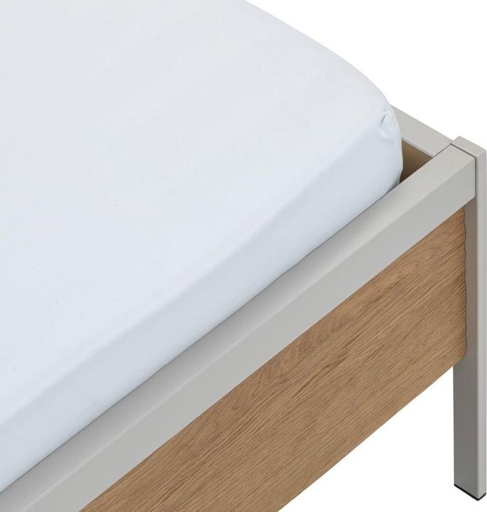 Produktbild Dieter Knoll Collection Elvas (169 x 209 cm)