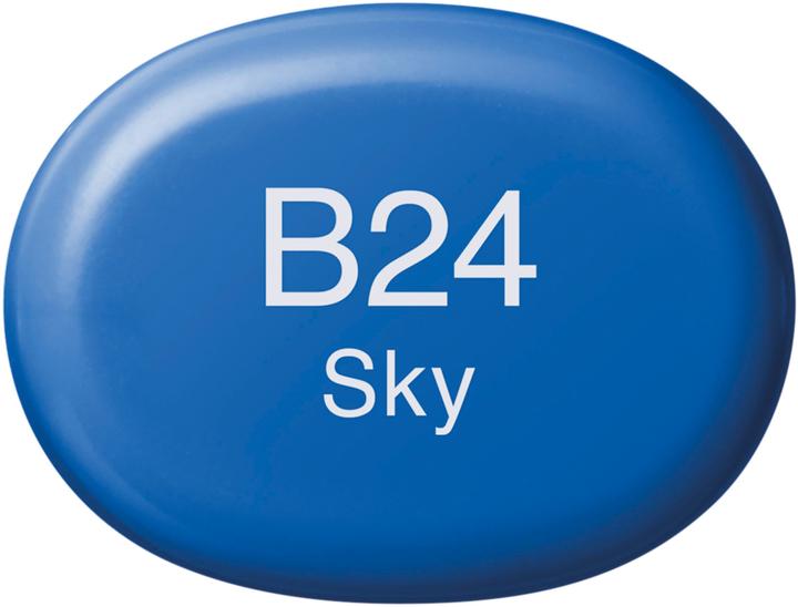 Actual product image Copic Sketch type B - 24 (1x)