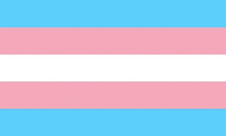 Produktbild STOLZ - TRANSEXUELLE FLAGGE 90 X 150