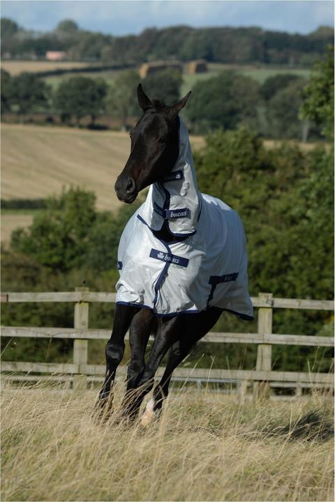 Image du produit Bucas Fliegendecke Freedom mit Halsteil (125 cm)
