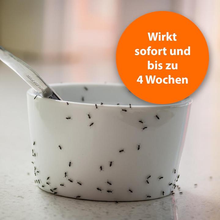 Image du produit Ardap Spray anti-fourmis Zerst. (500 ml)