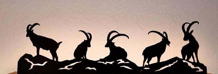 Immagine prodotto Praktikus Teelichthalter «Steinböcke» (45 x 4 cm)