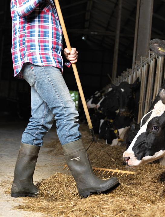 Produktbild Dunlop Sicherheitsstiefel Purofort S5 (S5, 48)