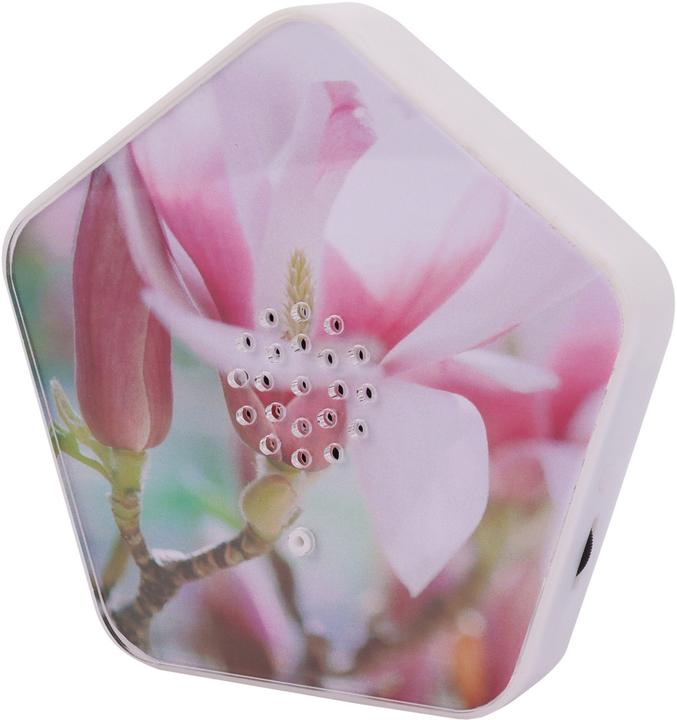 Actual product image Olymp Sounds of Nature Box 4 Klänge, 12 Motive