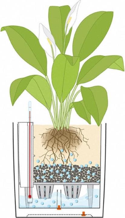 Produktbild Lechuza Cube (49 x 49 x 49.50 cm)