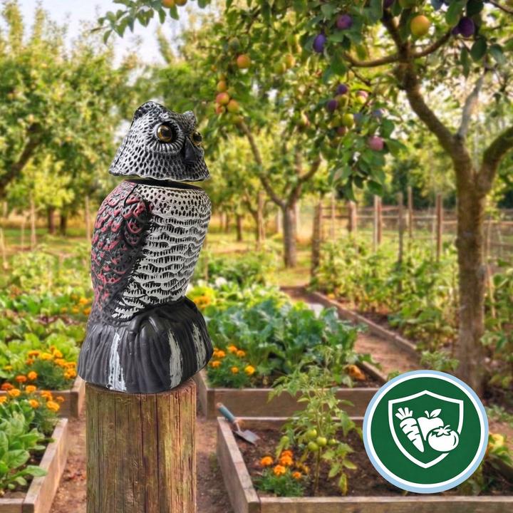 Actual product image Relaxdays Owl deterrent