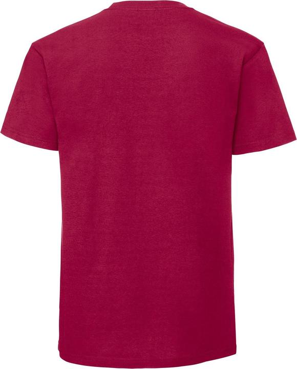 Produktbild Fruit of the Loom Iconic Premium TShirt (L)