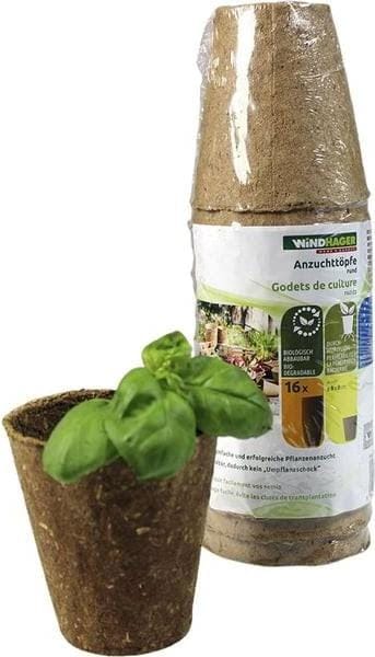 Actual product image Windhager Growing pots round 16pcs.