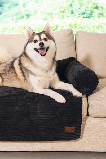 Productafbeelding Designed by Lotte Bankkussen Geribd (Hond)