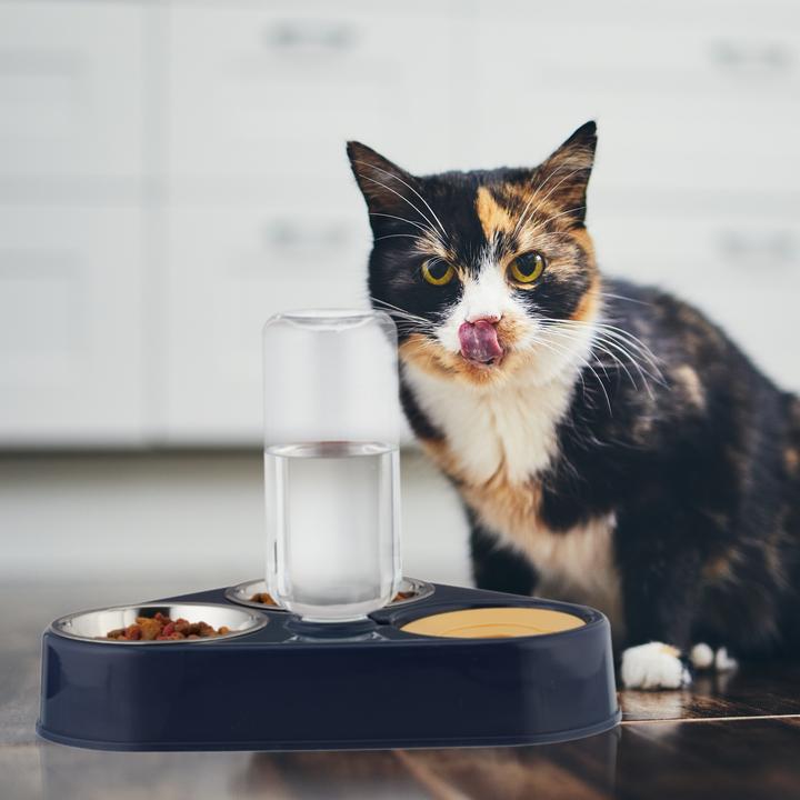 Actual product image Relaxdays feeding bowl (0.12 l)