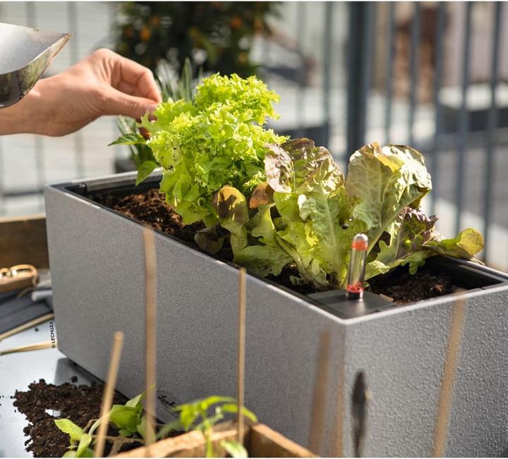 Actual product image Lechuza Balconera Stone (19 cm)