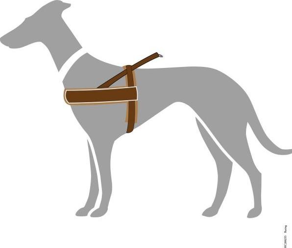 Produktbild Hunter Norwegergeschirr Racing (L, XL, Hund, Allgemein)