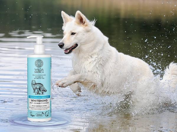 Produktbild Wilda Siberica Shampoo WHITENING, 5 l (5000 ml, Flüssiges Shampoo)