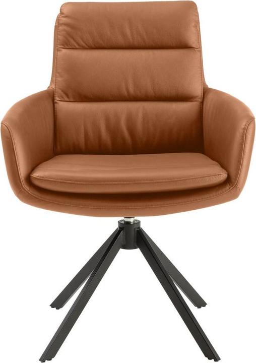 Image du produit Dieter Knoll Collection Everest