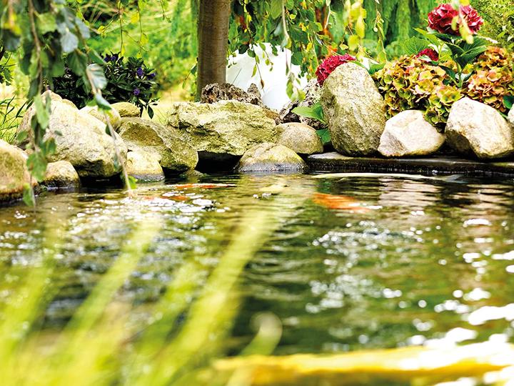 Immagine prodotto Oase Acquario Universale 600