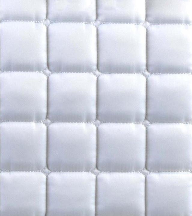 Produktbild Premier Equine Atlantis CC