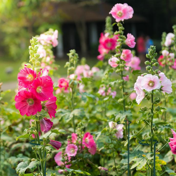 Produktbild Relaxdays Rollgarderobe