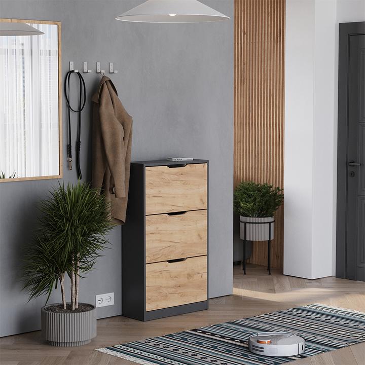 Produktbild Vicco Schuhkipper Luca, Anthrazit/Goldkraft Eiche, 22 x 105 cm mit 3 Fächern