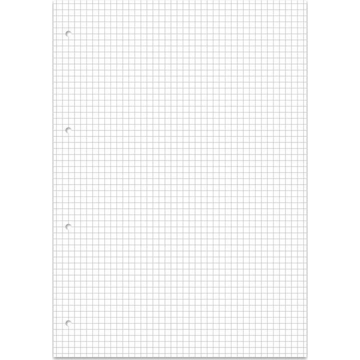 Produktbild Ursus Green Collegebook (A4, Kariert)