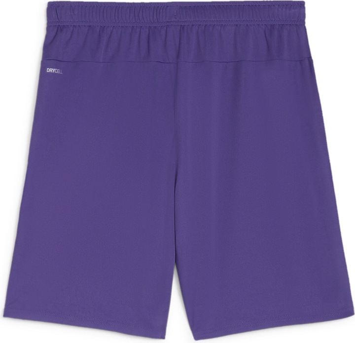 Actual product image Puma teamGOAL shorts (XL)