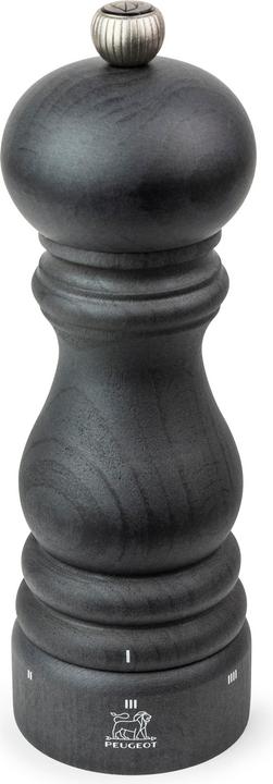 Peugeot Paris U-Select (Pepper)