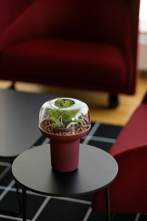 Actual product image Plastia Pot pour plantes Humidarium 26.5x20 cm (20 cm)