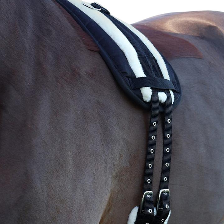 Actual product image Hy Roller Horse Lunge Pad
