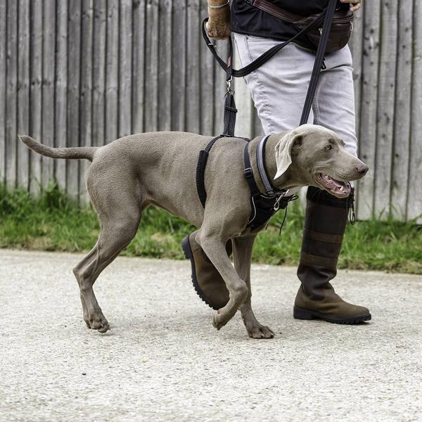 Produktbild Company of Animals Halti No Pull Antizug S Harness (S, Hund, Hundesport)