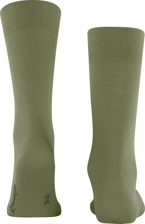 Actual product image Burlington Lord (Single pack, 46 - 50)