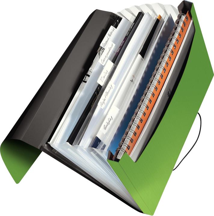 Actual product image Leitz Solid (A4, 1 x)