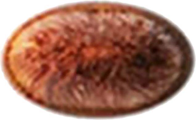 Produktbild MAC Cosmetics 211 Pointed Liner Brush (Eyeliner)