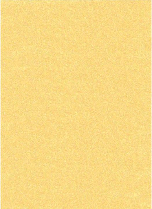 Actual product image Ursus Tone drawing paper A4, 130 g/m², 100 sheets, gold matt (130 g/m², 100x)