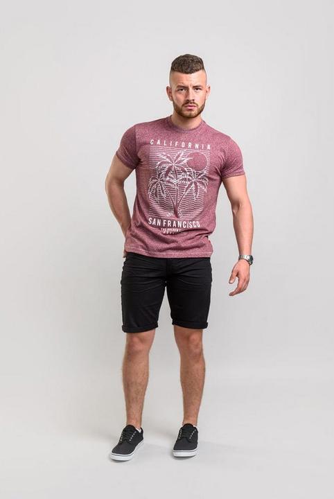 Produktbild DUKE TShirt Oscar mit SanFranciscoPrint Übergrössen (L, 6XL)
