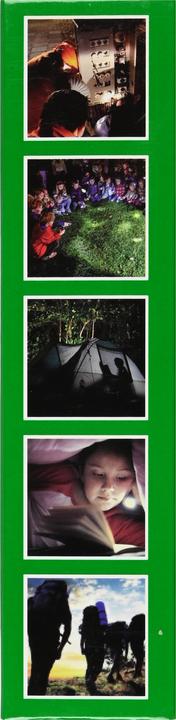 Actual product image ProPlus Torch tactical LED + COB rechargeable 141 mm (14.10 cm, 100 lm)