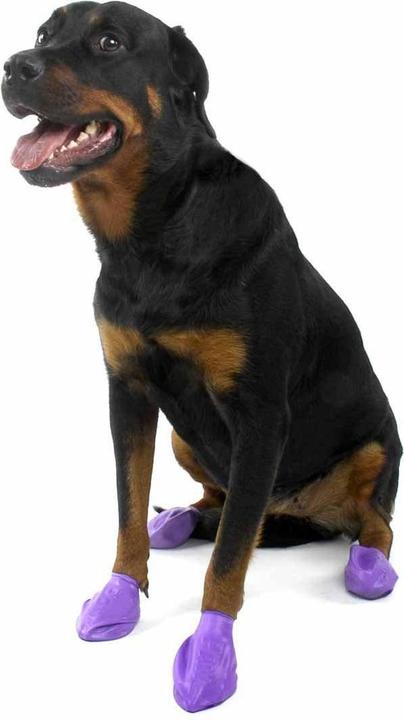 Image du produit Pawz Pfotenschutz (L, Chaussures pour chien)