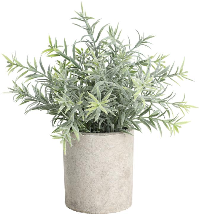 Produktbild EGLO LIVING Chitose (24 cm)