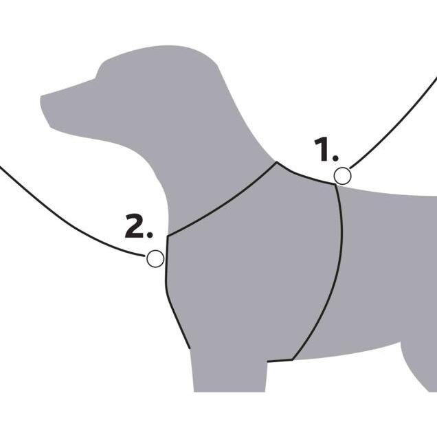 Thumbnail - Trixie Premium Trekking Geschirr (M, L, Hund, Allgemein), Halsband + Leine