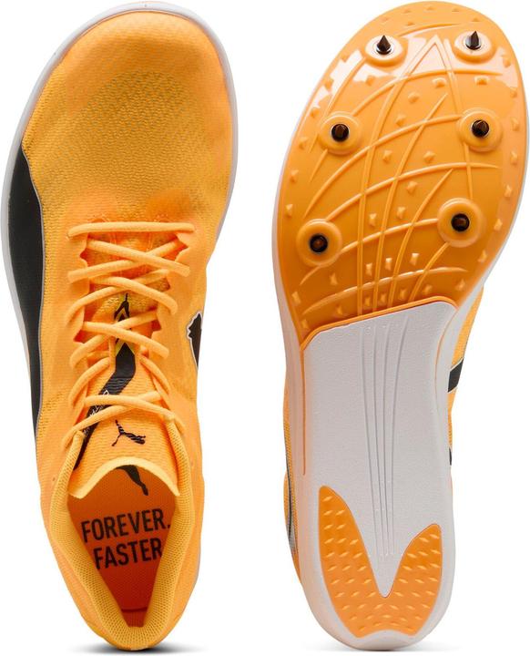 Produktbild Puma evoSPEED Long Distance (40)