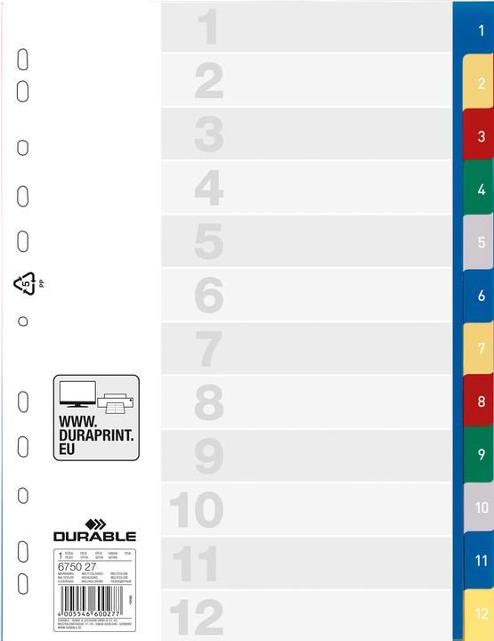 Immagine prodotto Durable Registri PP, varie versioni, singolo